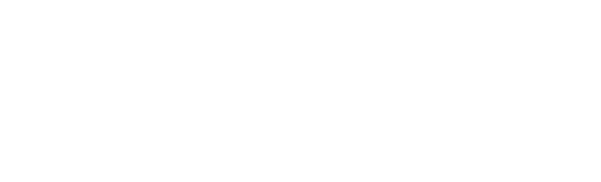 DRONE BUZZ MIYAZAKI.